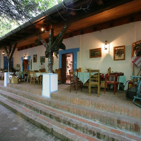 Отель Salas 137 Cenej Экстерьер фото
